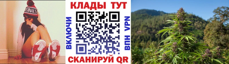 A PVP Тюмень