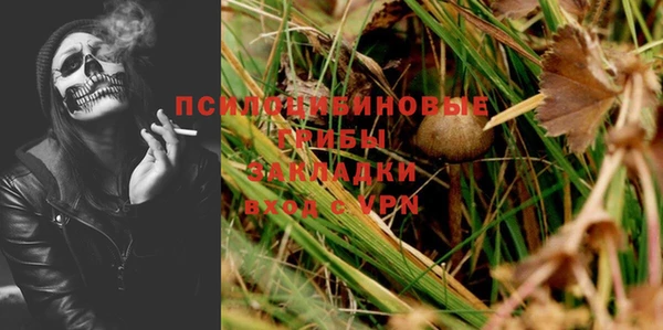 мяу мяу мука Новодвинск